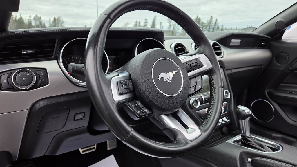 Ford Mustang CONVERTIBLE PREMIUM 2019 à Matane, Québec - 18 - w1024h768px