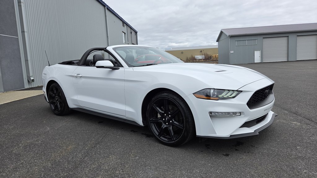 Ford Mustang CONVERTIBLE PREMIUM 2019 à Matane, Québec - 14 - w1024h768px