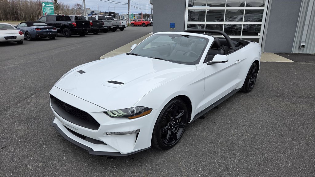 Ford Mustang CONVERTIBLE PREMIUM 2019 à Matane, Québec - 13 - w1024h768px