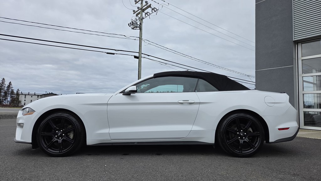 Ford Mustang CONVERTIBLE PREMIUM 2019 à Matane, Québec - 9 - w1024h768px