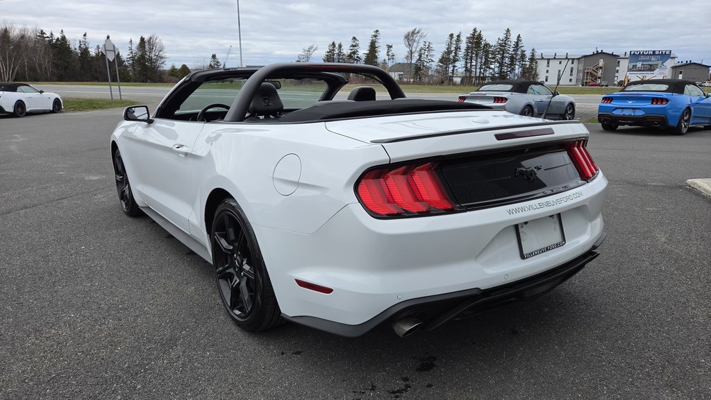 Ford Mustang CONVERTIBLE PREMIUM 2019 à Matane, Québec - 12 - w1024h768px