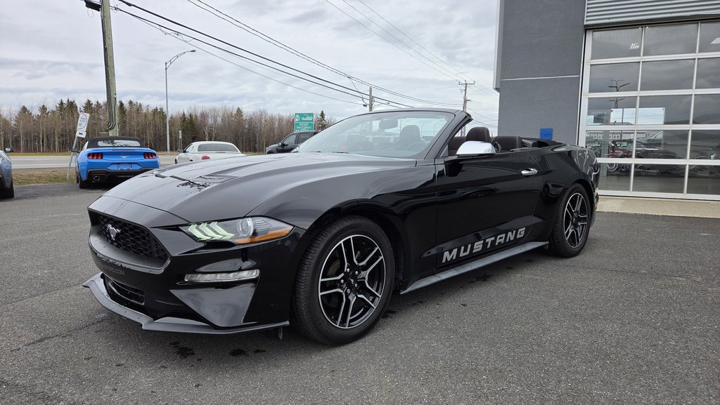 Ford Mustang CONVERTIBLE 2020 à Matane, Québec - 11 - w1024h768px
