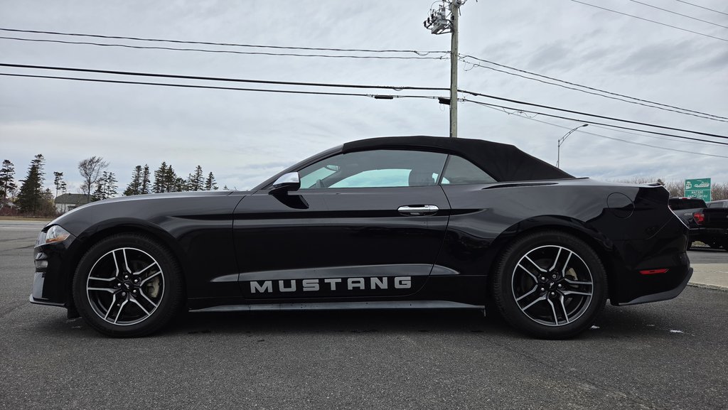Ford Mustang CONVERTIBLE 2020 à Matane, Québec - 8 - w1024h768px