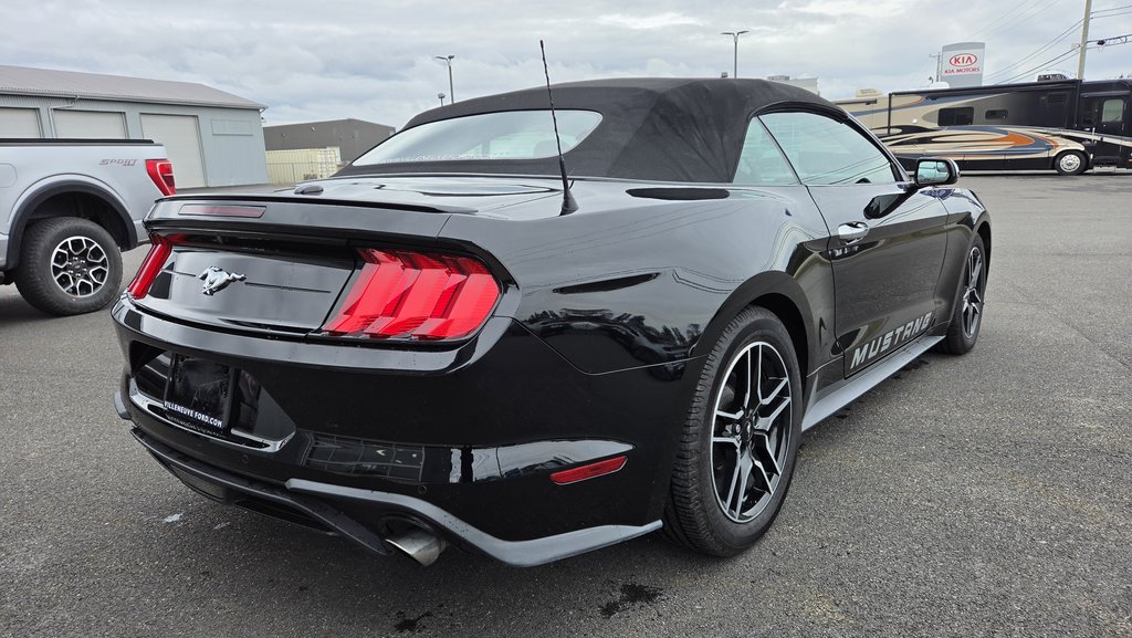 Ford Mustang CONVERTIBLE 2020 à Matane, Québec - 4 - w1024h768px