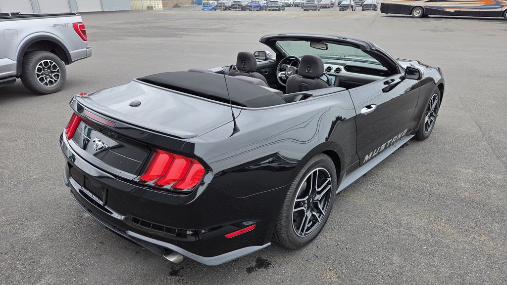 Ford Mustang CONVERTIBLE 2020 à Matane, Québec - 12 - w1024h768px
