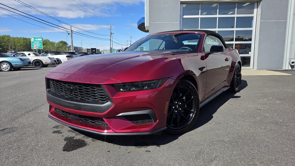 Ford Mustang Premium  201A  ENSEMBLE NITE PONY 2025 à Matane, Québec - 1 - w1024h768px