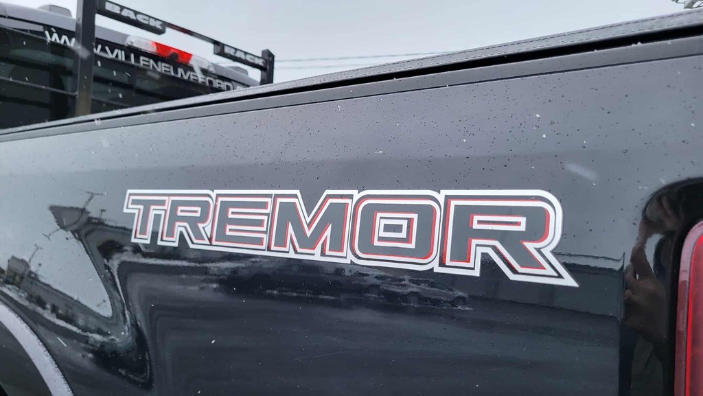 Ford Super Duty F-350 SRW LARIAT  SPORT 2022 à Matane, Québec - 13 - w1024h768px