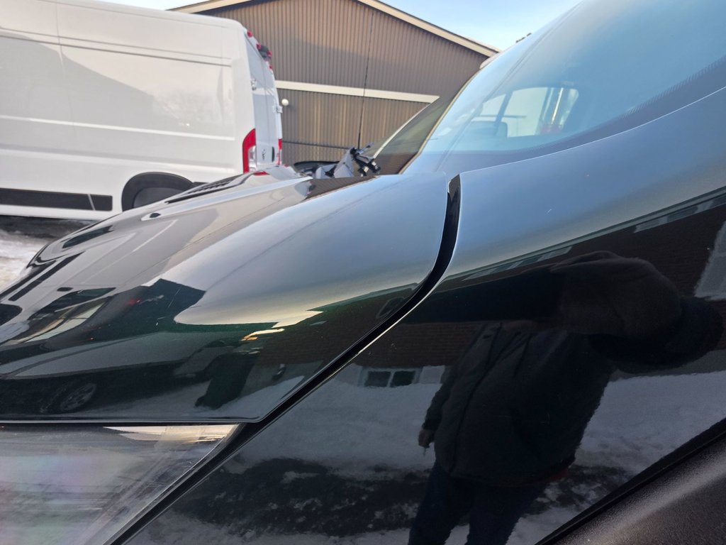 Ford TRANSIT PASSENGER WAGON XL Low Roof 130' 2015 à Repentigny, Québec - 18 - w1024h768px