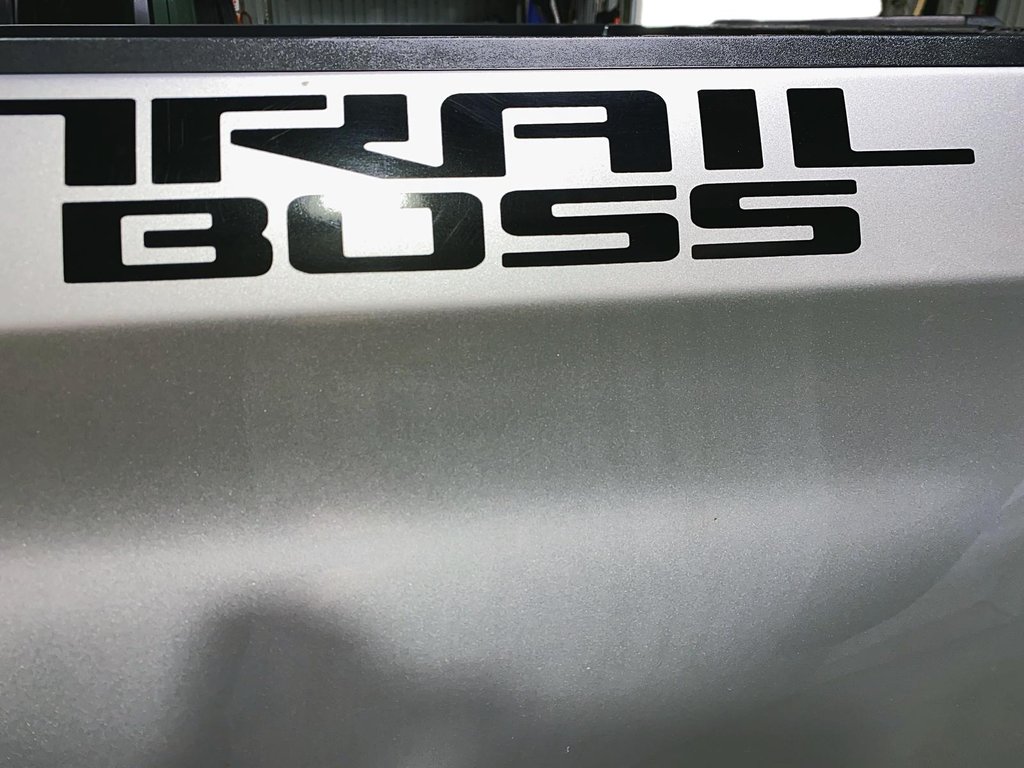 2022 Chevrolet Silverado 1500 Custom Trail Boss in Chicoutimi, Quebec - 7 - w1024h768px