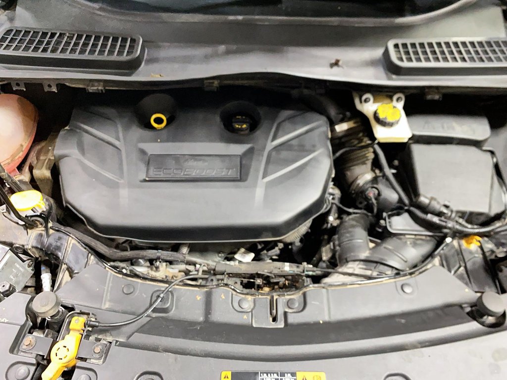 Ford Escape  2017 à Sept-Îles, Québec - 11 - w1024h768px