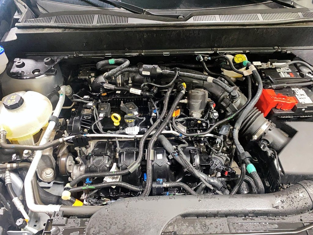 2024 Ford Maverick in Sept-Îles, Quebec - 9 - w1024h768px