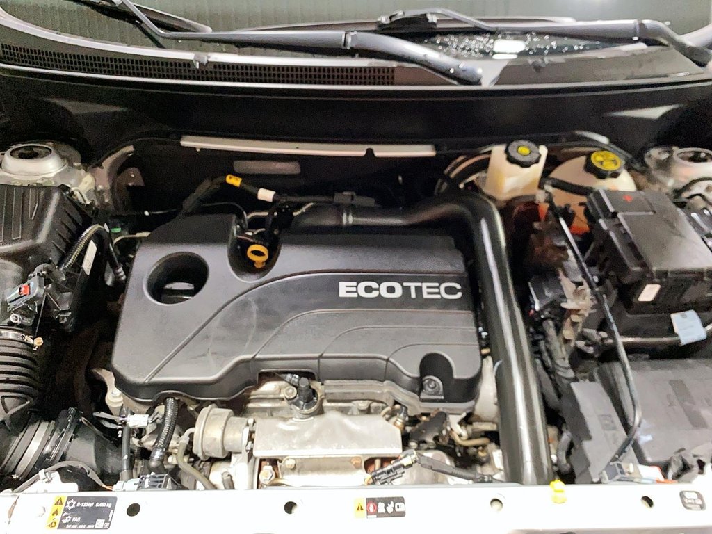 GMC Terrain  2021 à Baie-Comeau, Québec - 10 - w1024h768px