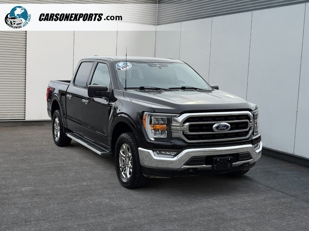 2023 Ford F-150 XLT 302A PACKAGE PANO ROOF! FINANCING AVAILABLE!-2