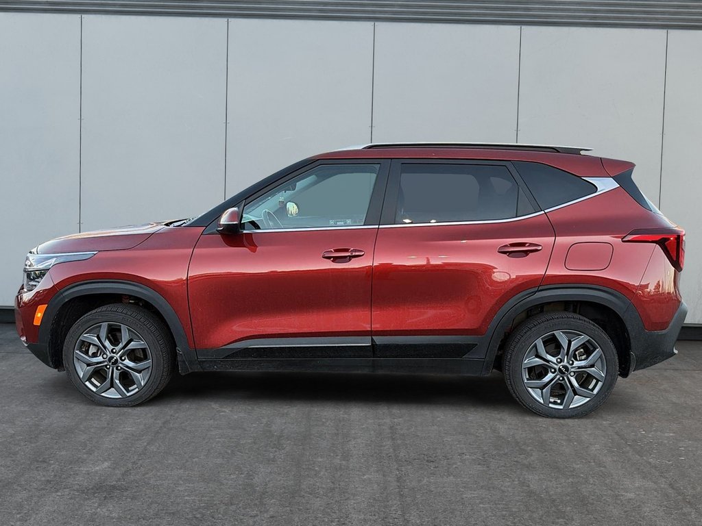 Kia Seltos  2026 à Québec, Québec - 8 - w1024h768px