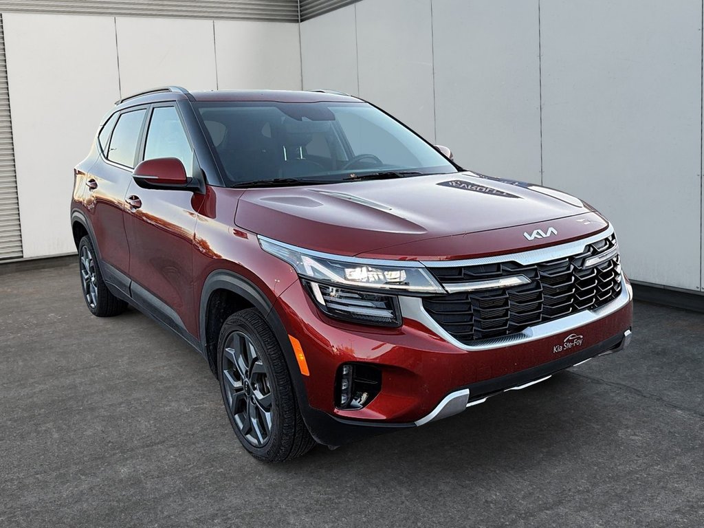 Kia Seltos  2026 à Québec, Québec - 3 - w1024h768px