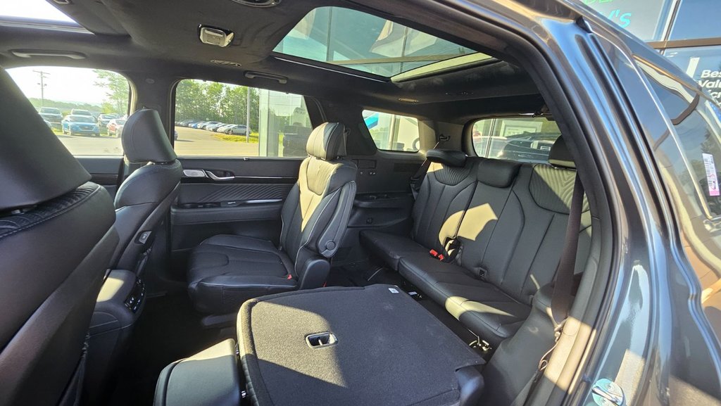 2025 Hyundai Palisade ULTIMATE CALLIGRAPHY in New Glasgow, Nova Scotia - 15 - w1024h768px