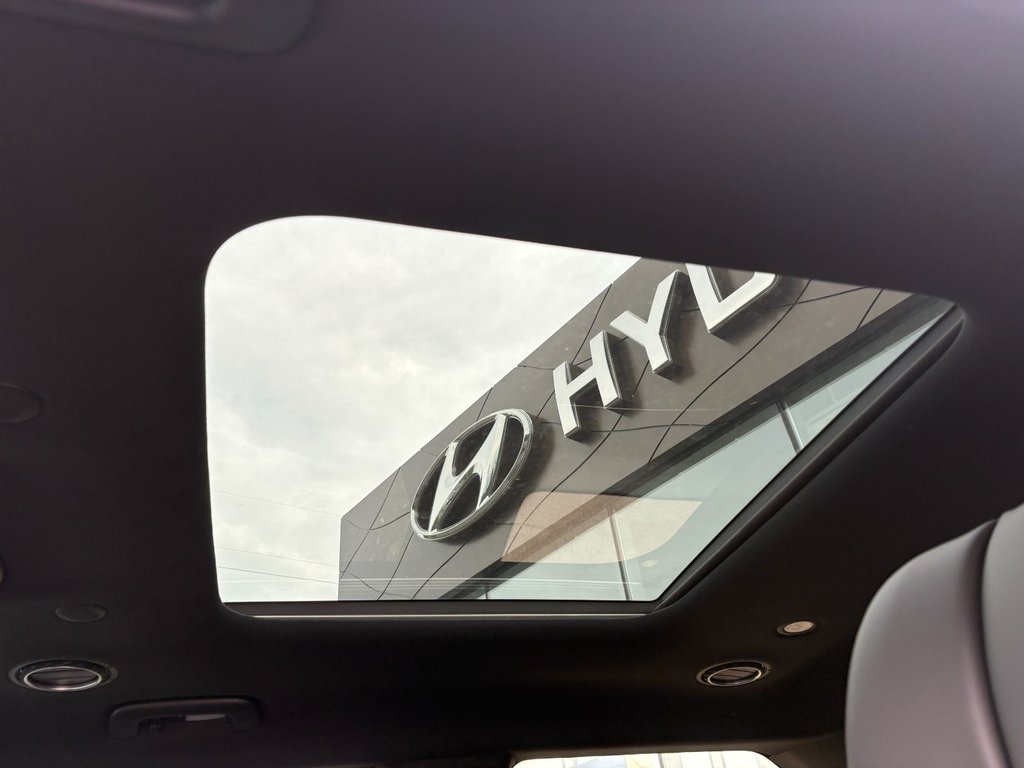 2026 Hyundai PALISADE ULTIMATE CALLIGRAPHY in New Glasgow, Nova Scotia - 17 - w1024h768px