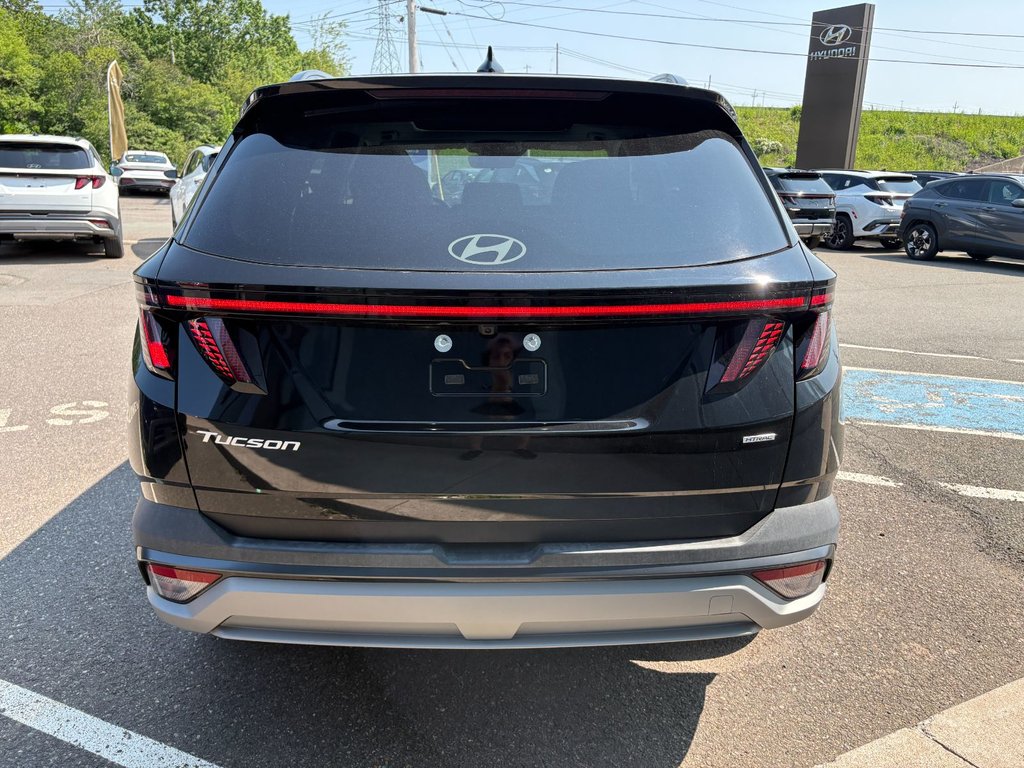 2026 Hyundai TUCSON PREFERRED in New Glasgow, Nova Scotia - 4 - w1024h768px
