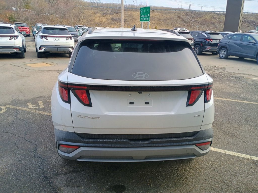 2026 Hyundai TUCSON PREFERRED in New Glasgow, Nova Scotia - 4 - w1024h768px