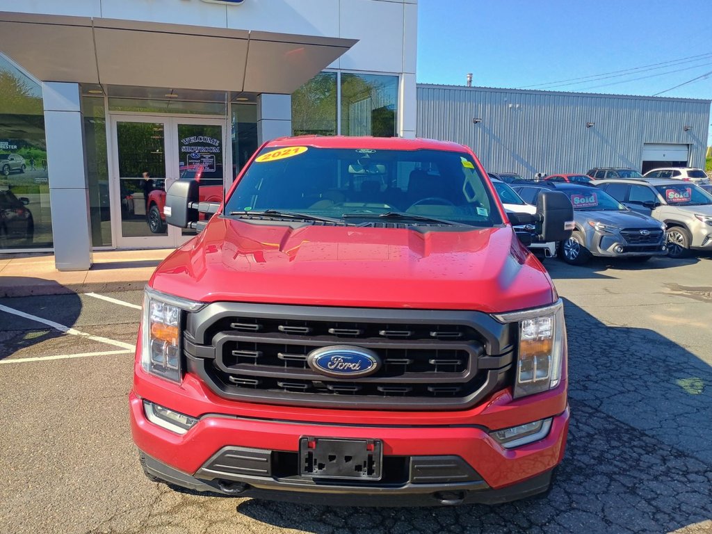 Ford F-150 XLT 2021 à New Glasgow, Nouvelle-Écosse - 8 - w1024h768px