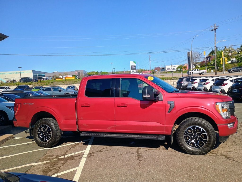 Ford F-150 XLT 2021 à New Glasgow, Nouvelle-Écosse - 6 - w1024h768px