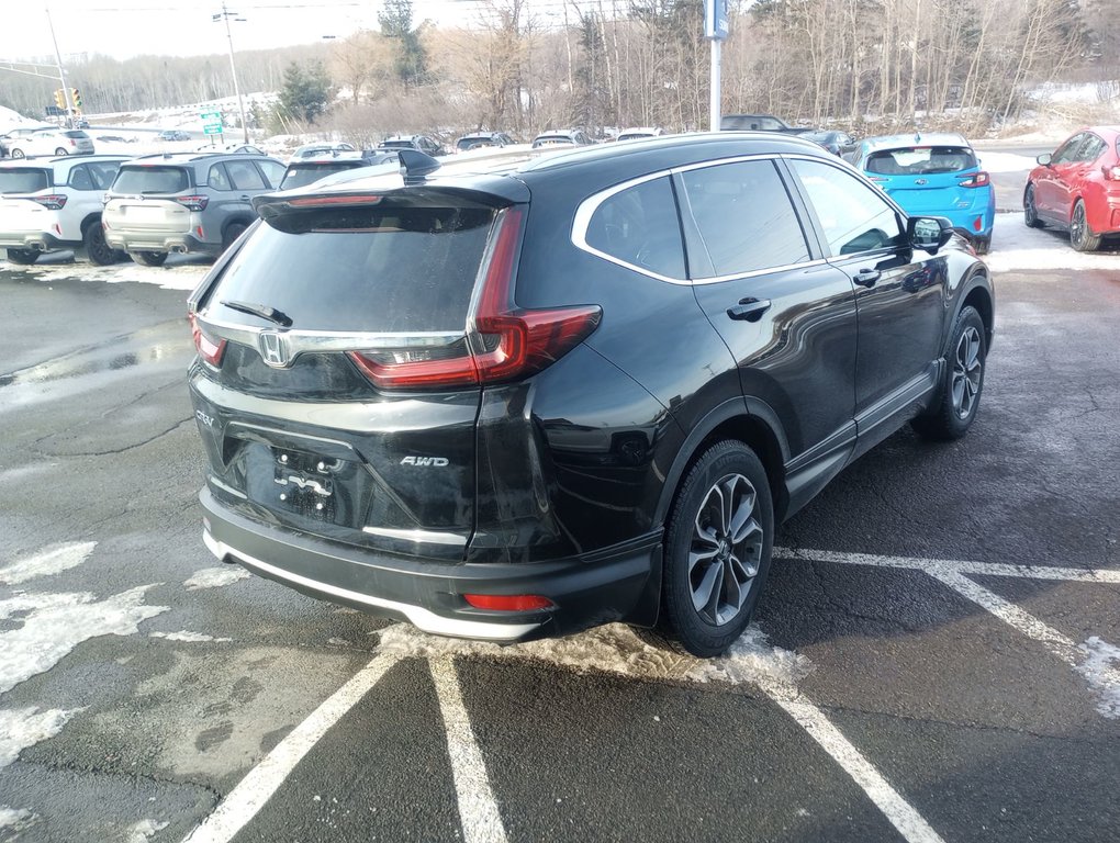 Honda CR-V EX-L 2020 à New Glasgow, Nouvelle-Écosse - 5 - w1024h768px