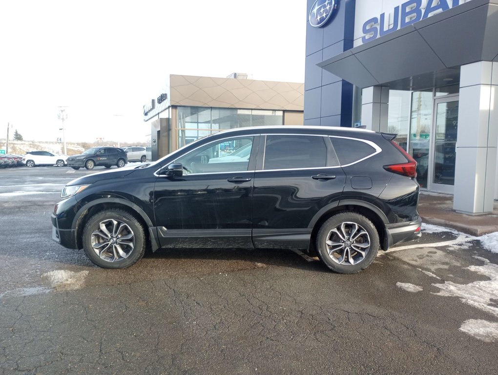 Honda CR-V EX-L 2020 à New Glasgow, Nouvelle-Écosse - 2 - w1024h768px