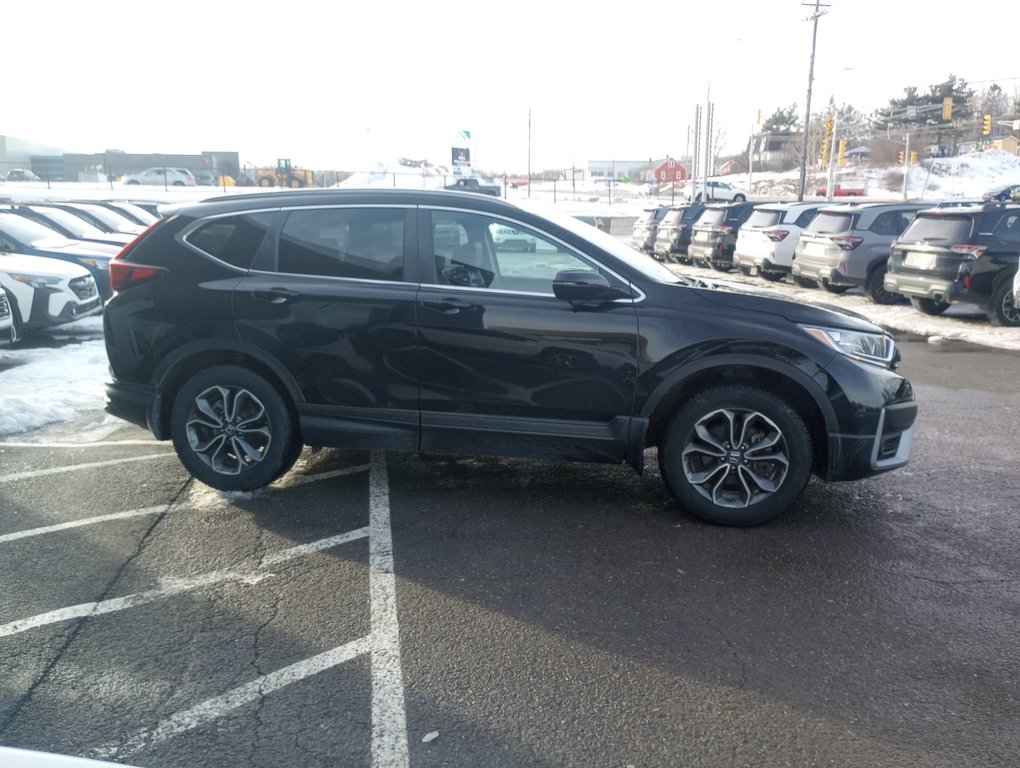 Honda CR-V EX-L 2020 à New Glasgow, Nouvelle-Écosse - 6 - w1024h768px