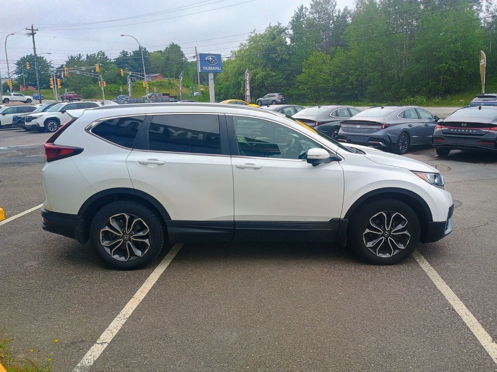 2021 Honda CR-V EX-L in New Glasgow, Nova Scotia - 6 - w1024h768px