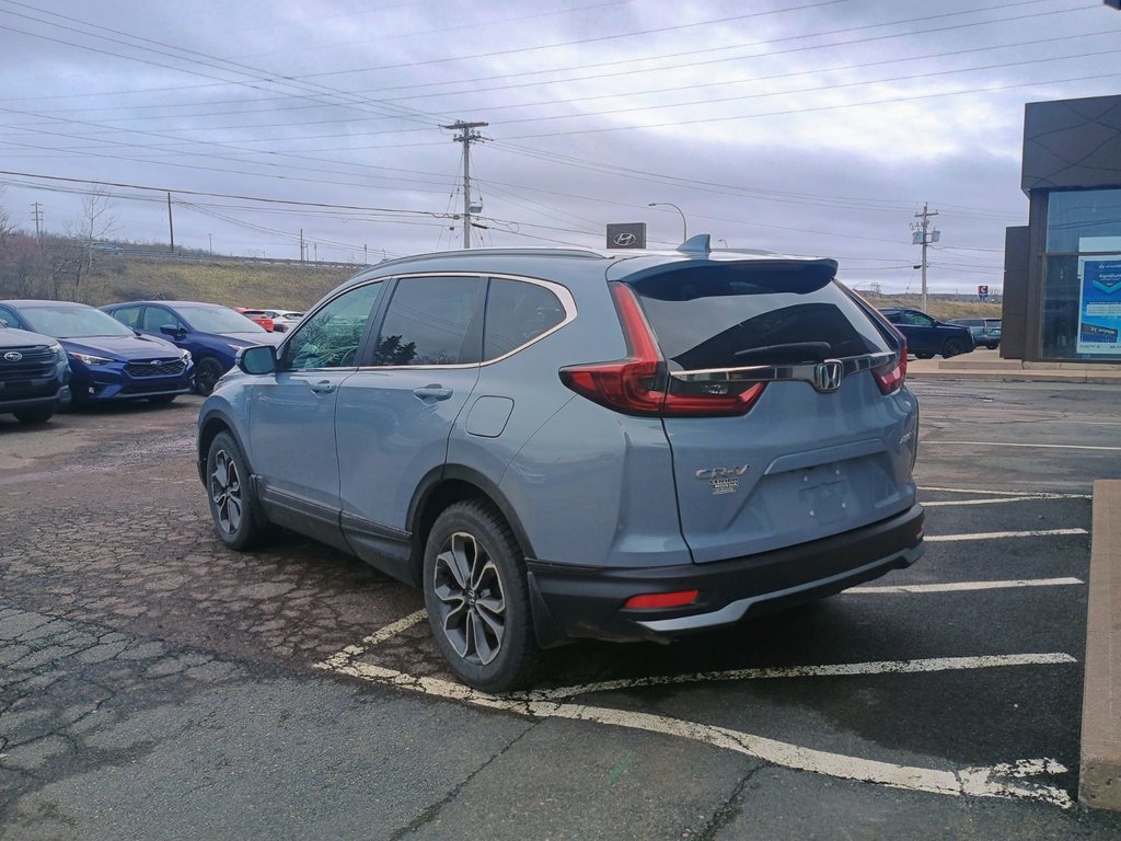 2022 Honda CR-V EX-L in New Glasgow, Nova Scotia - 3 - w1024h768px