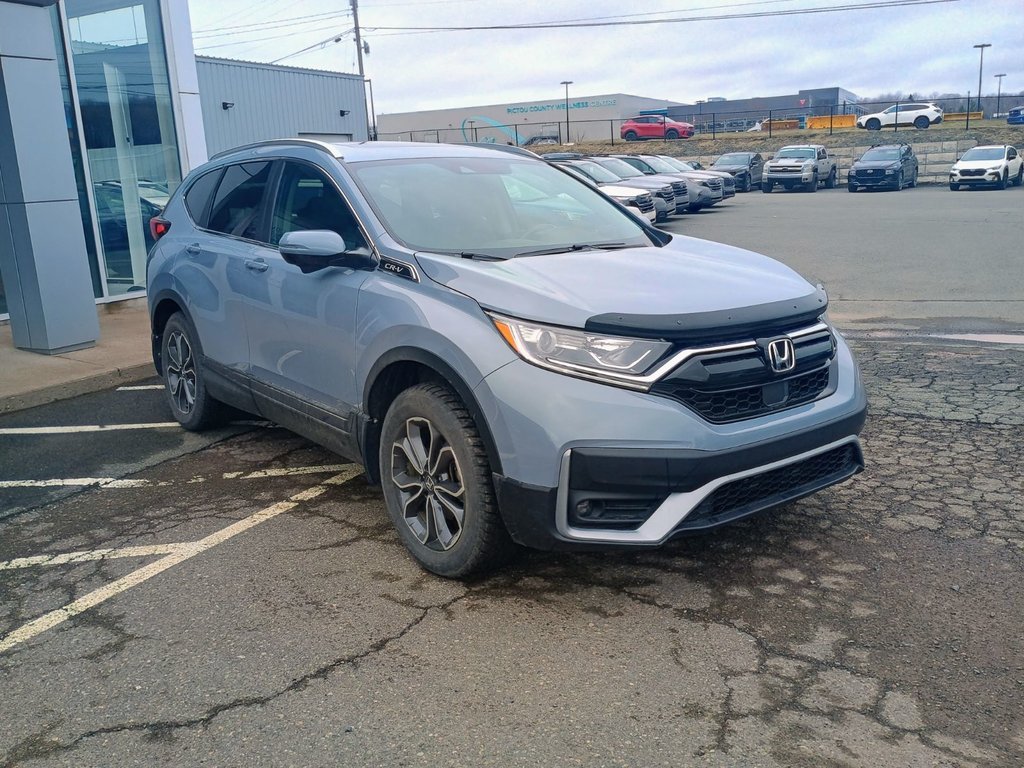 2022 Honda CR-V EX-L in New Glasgow, Nova Scotia - 7 - w1024h768px