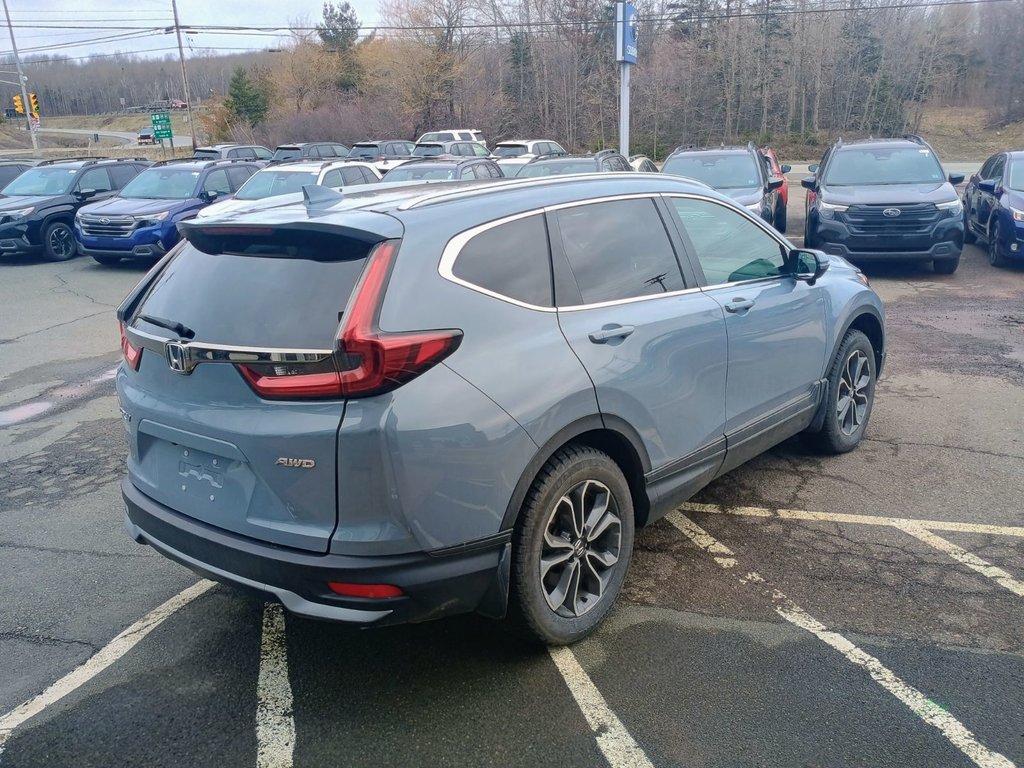 2022 Honda CR-V EX-L in New Glasgow, Nova Scotia - 5 - w1024h768px