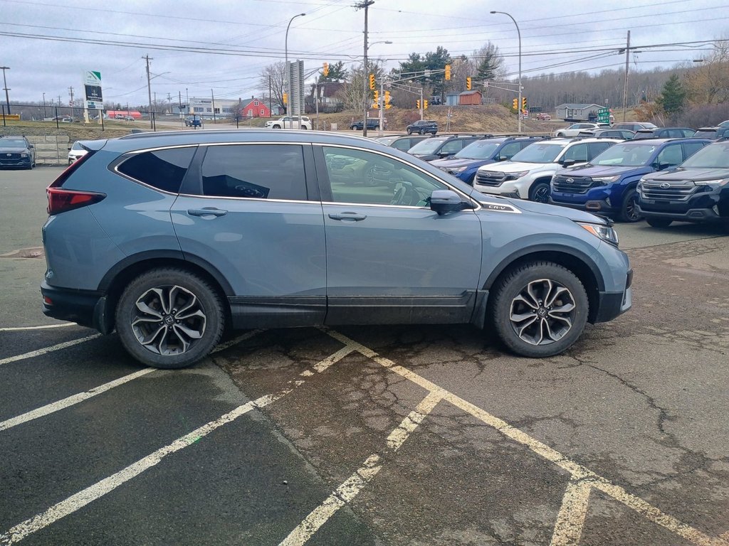 2022 Honda CR-V EX-L in New Glasgow, Nova Scotia - 6 - w1024h768px