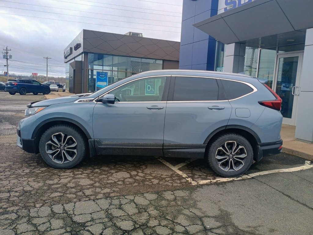 2022 Honda CR-V EX-L in New Glasgow, Nova Scotia - 2 - w1024h768px