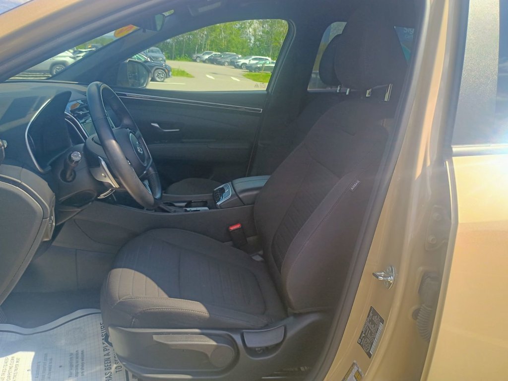 2024 Hyundai SANTA CRUZ PREFERRED in New Glasgow, Nova Scotia - 12 - w1024h768px