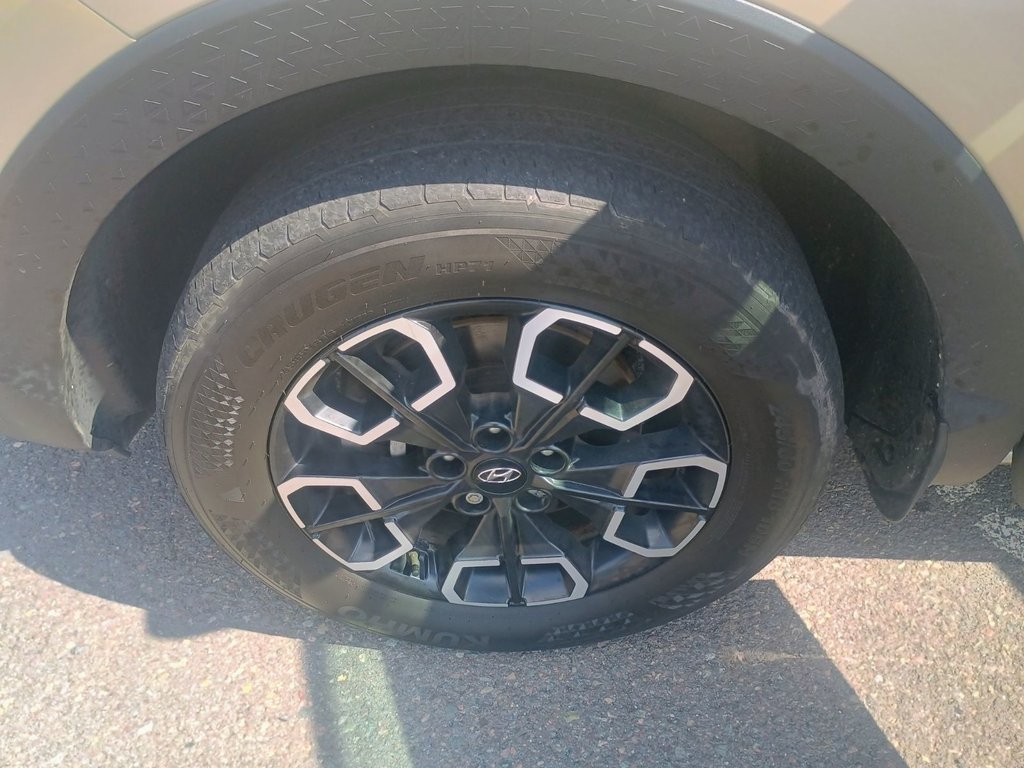 2024 Hyundai SANTA CRUZ PREFERRED in New Glasgow, Nova Scotia - 14 - w1024h768px
