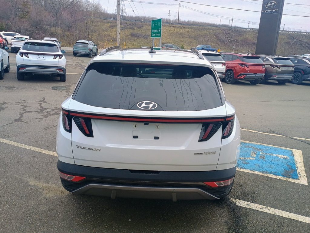 2024 Hyundai TUCSON HYBRID LUXURY in New Glasgow, Nova Scotia - 4 - w1024h768px