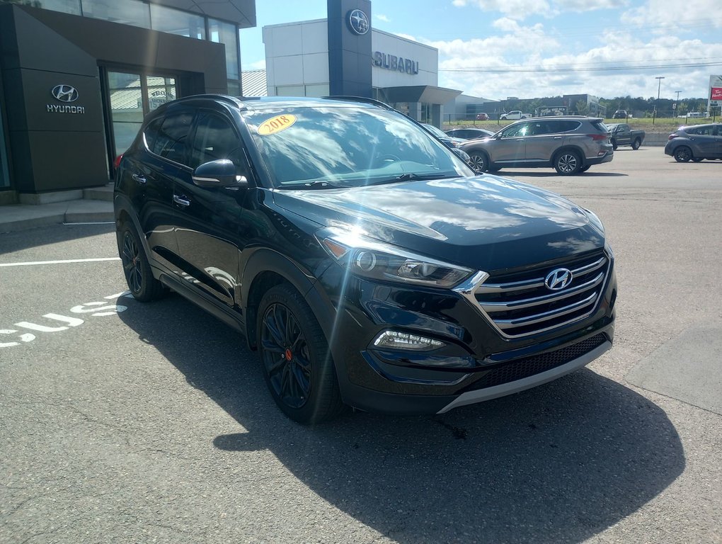 2018  Tucson BASE in New Glasgow, Nova Scotia - 7 - w1024h768px