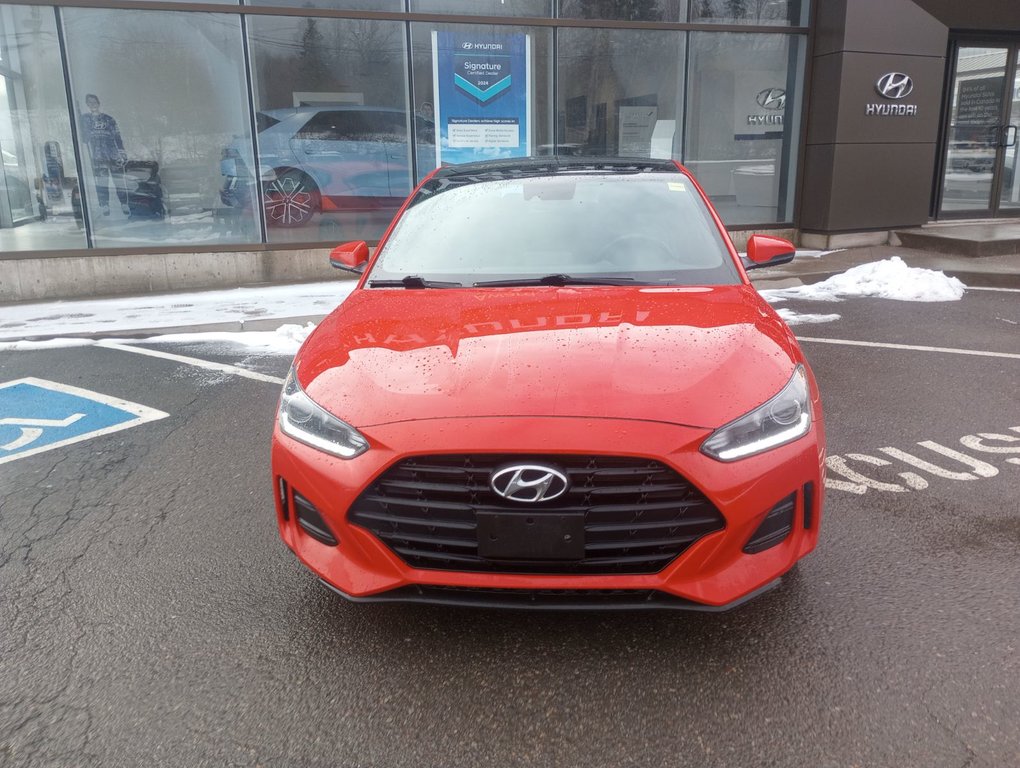 Hyundai Veloster LUXURY 2020 à New Glasgow, Nouvelle-Écosse - 5 - w1024h768px