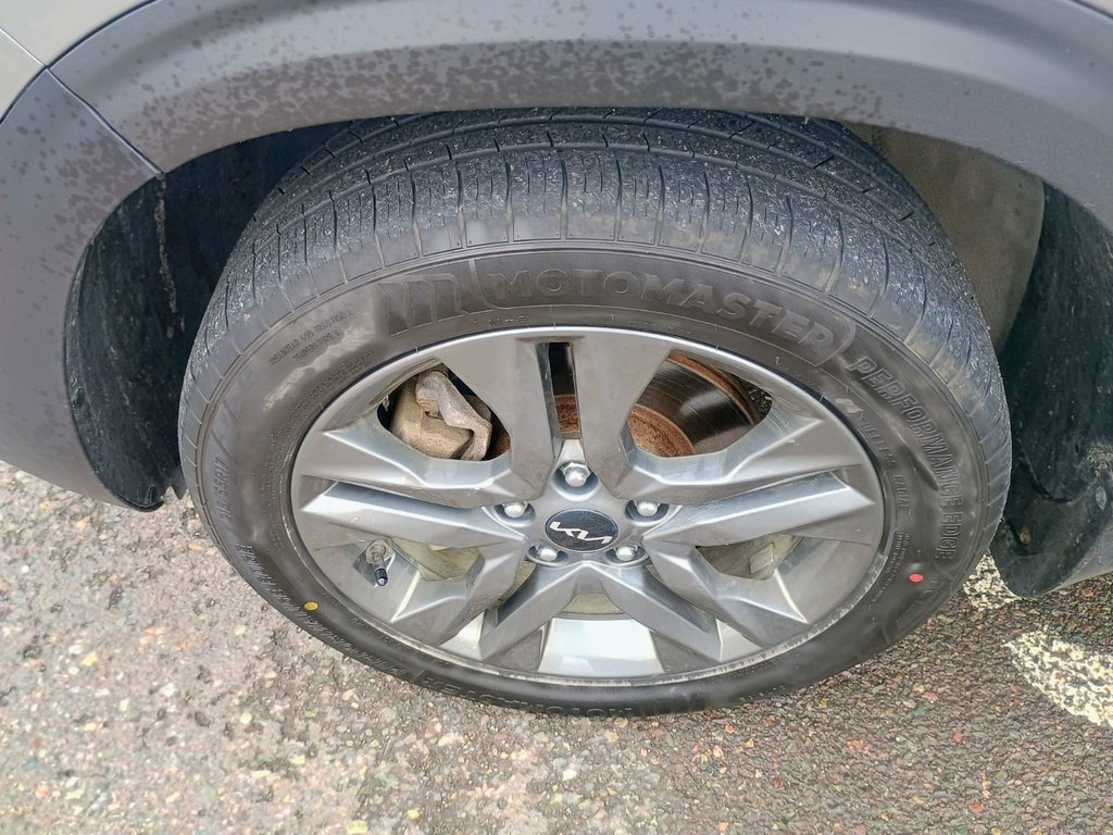 2023 Kia SELTOS EX in New Glasgow, Nova Scotia - 15 - w1024h768px
