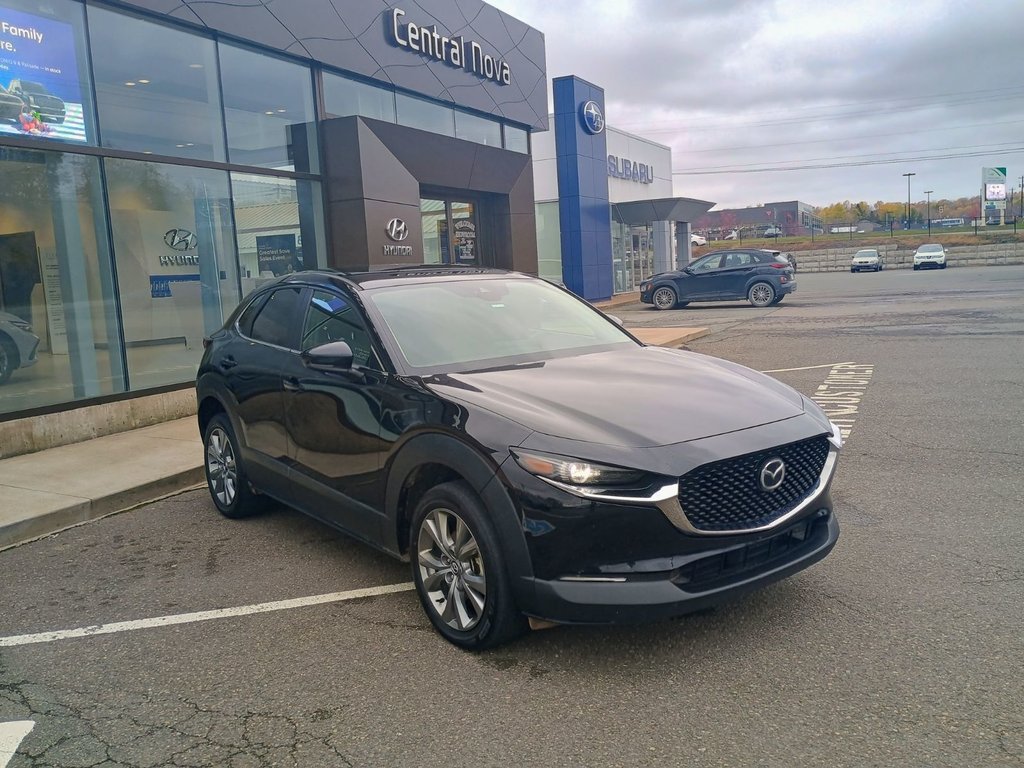 2023 Mazda CX-30 GS in New Glasgow, Nova Scotia - 7 - w1024h768px
