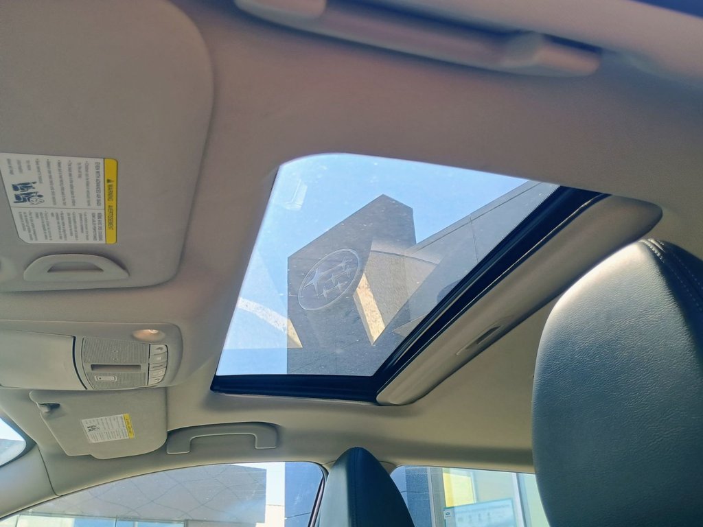 2023 Nissan QASHQAI SV in New Glasgow, Nova Scotia - 14 - w1024h768px