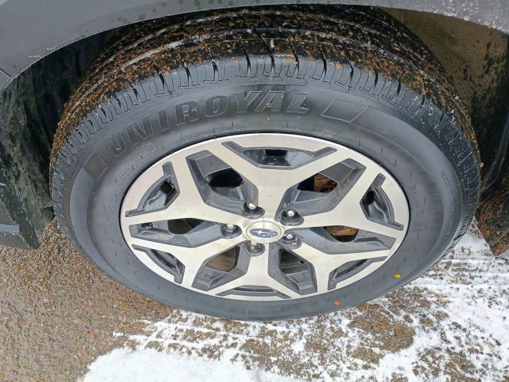 2023 Subaru FORESTER TOURING in New Glasgow, Nova Scotia - 15 - w1024h768px