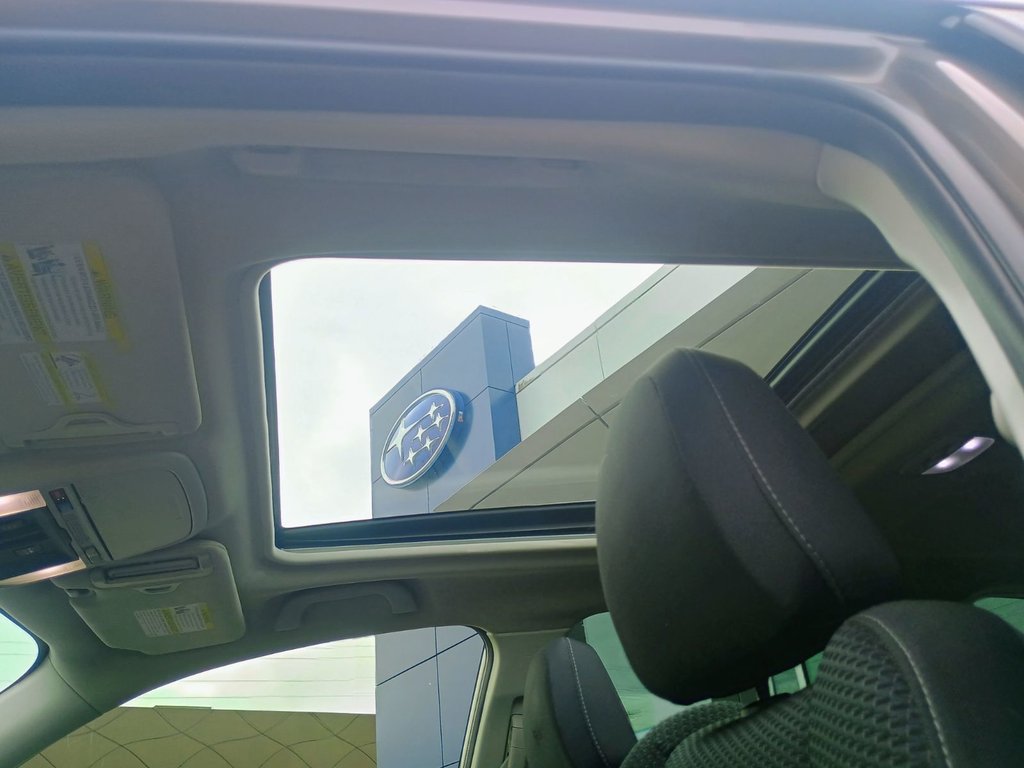 2023 Subaru FORESTER TOURING in New Glasgow, Nova Scotia - 15 - w1024h768px