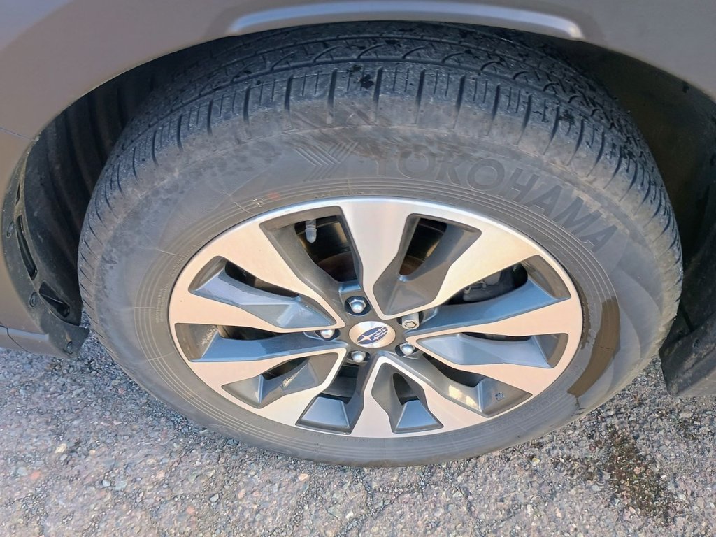 2025 Subaru OUTBACK LIMITED in New Glasgow, Nova Scotia - 14 - w1024h768px