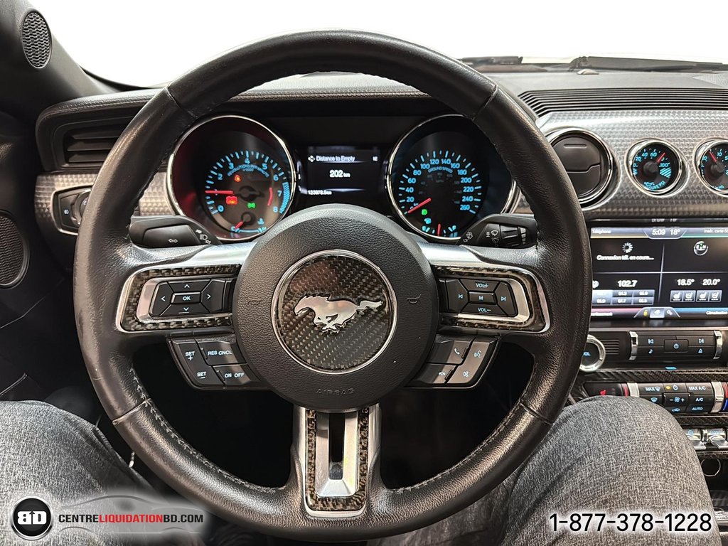 2015 Ford Mustang GT Premium in Granby, Quebec - 19 - w1024h768px