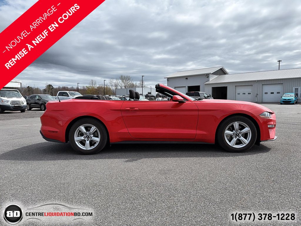 Ford Mustang BAS KM 2018 à Granby, Québec - 5 - w1024h768px