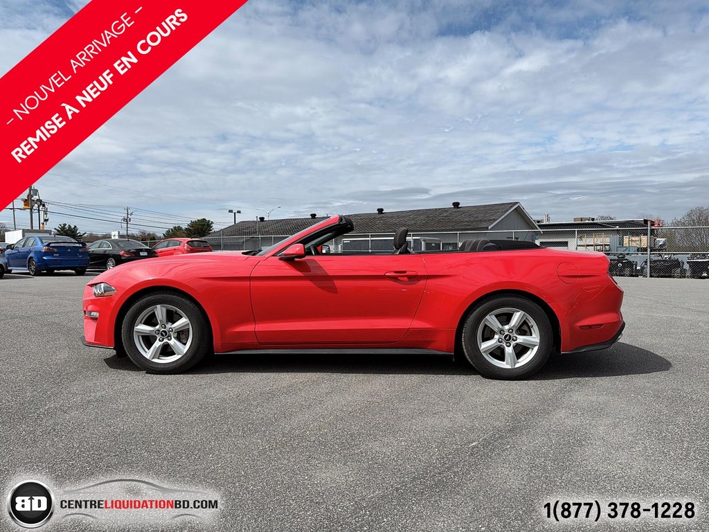 Ford Mustang BAS KM 2018 à Granby, Québec - 11 - w1024h768px
