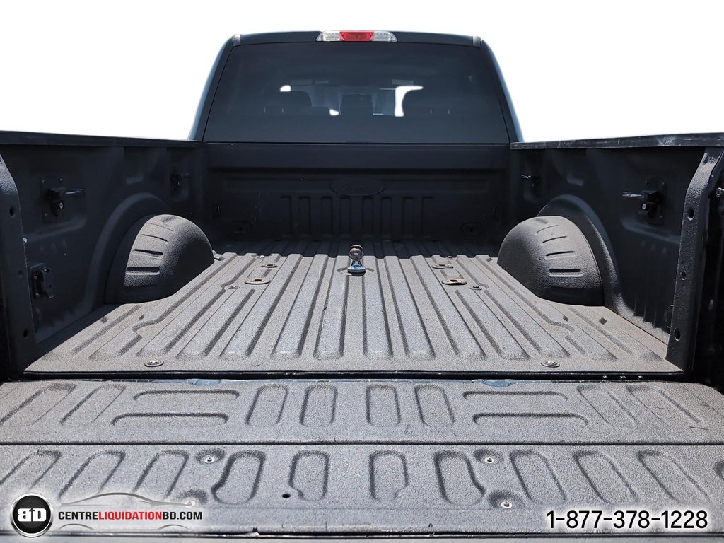 2017 Ford Super Duty F-250 SRW in Granby, Quebec - 9 - w1024h768px