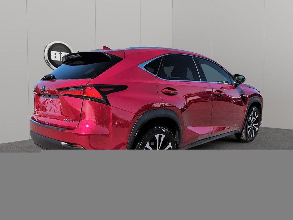 Lexus NX 300 2019 à Granby, Québec - 6 - w1024h768px